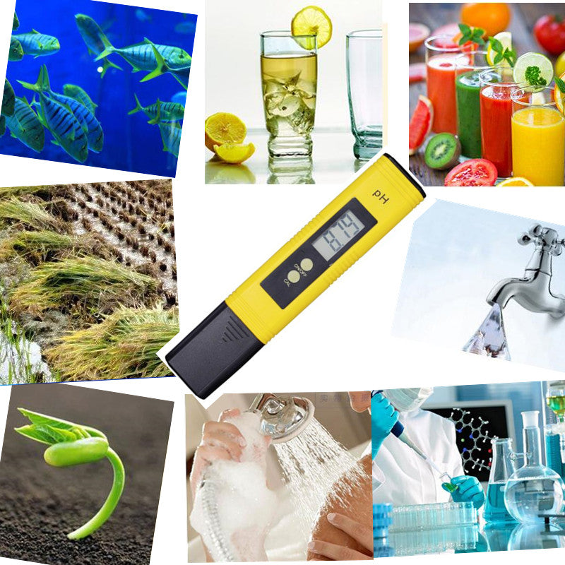 Compact Precision pH Meter